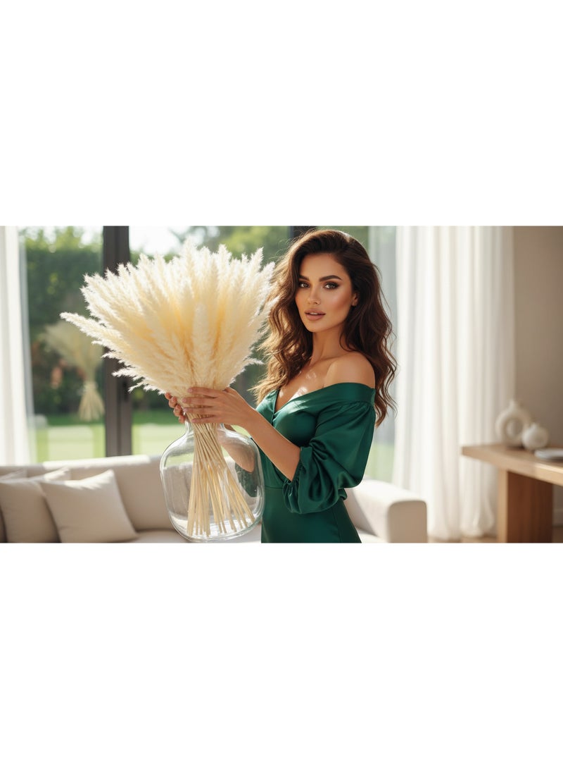 فانسي فلورز ي لديكور المنزل60عود)بامباس جراس طبيعي مجفف من FANCY بطول 70 سم بلون أبيض كريمي لديكور المنزل (60 عود) - Image 3